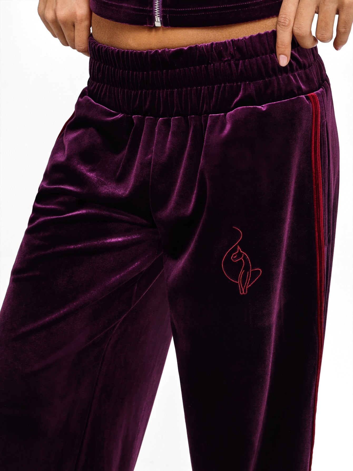 Velour Wide Leg Track Pants